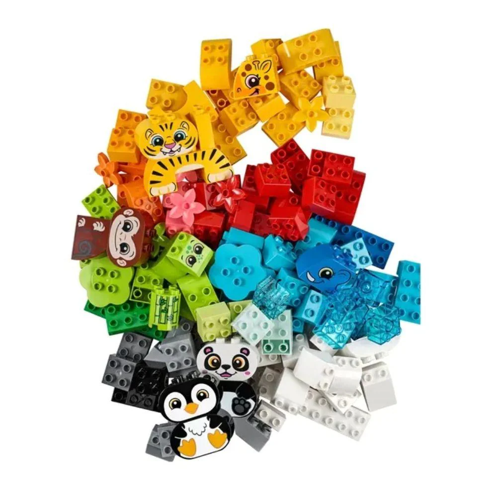 10934 Creative animals