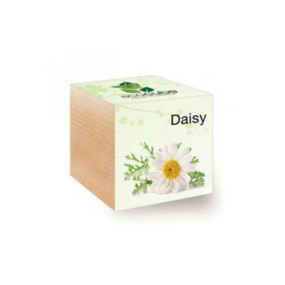 Ecocube Daisy