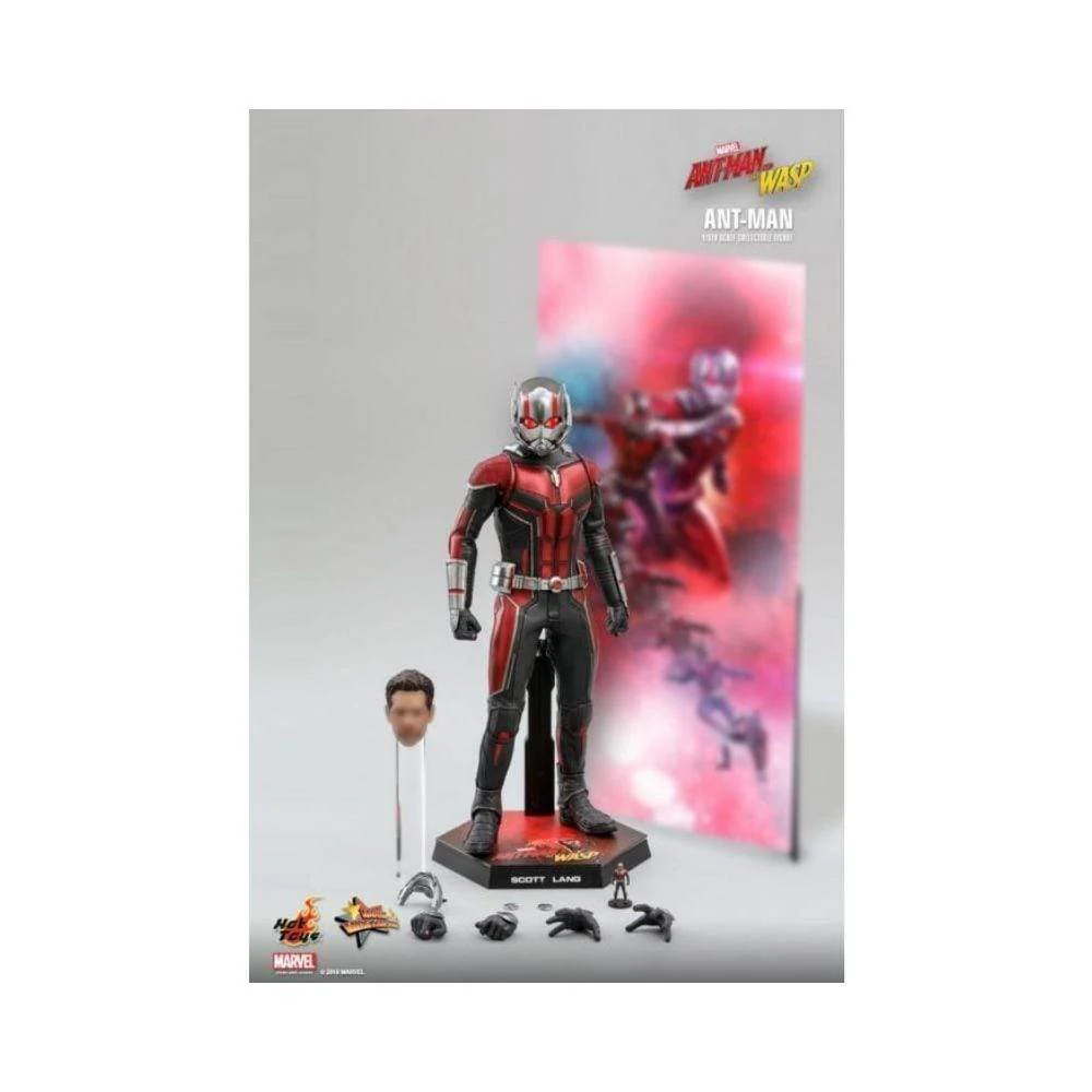 Hot Toys : Ant-Man And The Wasp - Ant-Man 1/6 Scale - Image 3