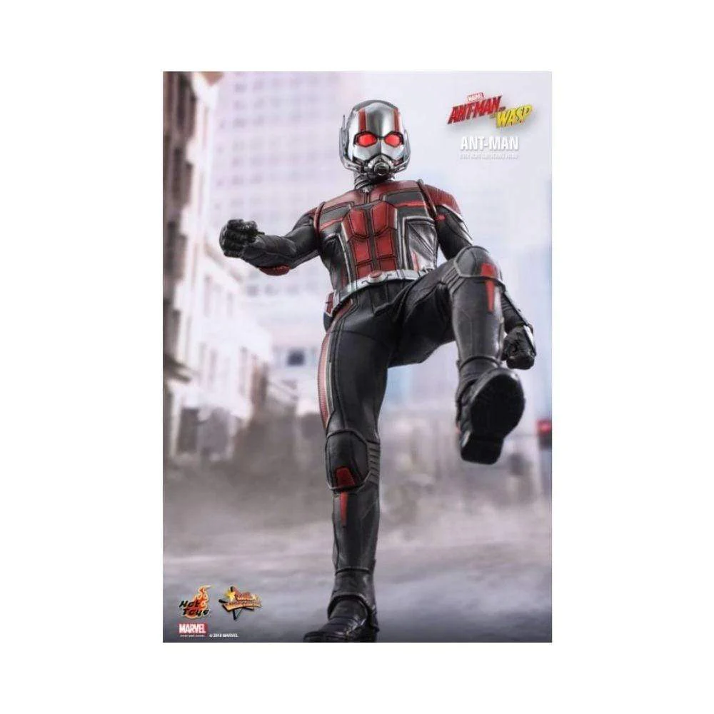 Hot Toys : Ant-Man And The Wasp - Ant-Man 1/6 Scale - Image 5