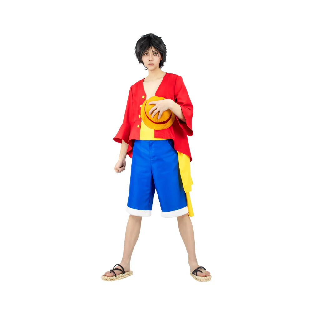 One Piece Monkey D. Luffy Costume for Adults (L)